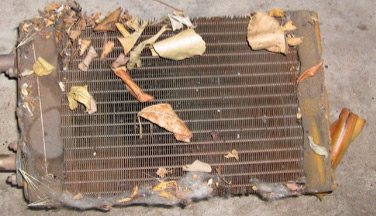 Зображення проблематики